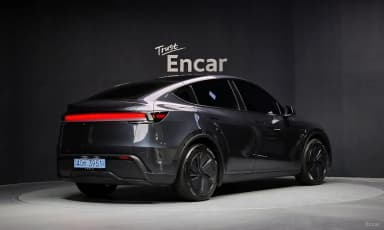 Model Y