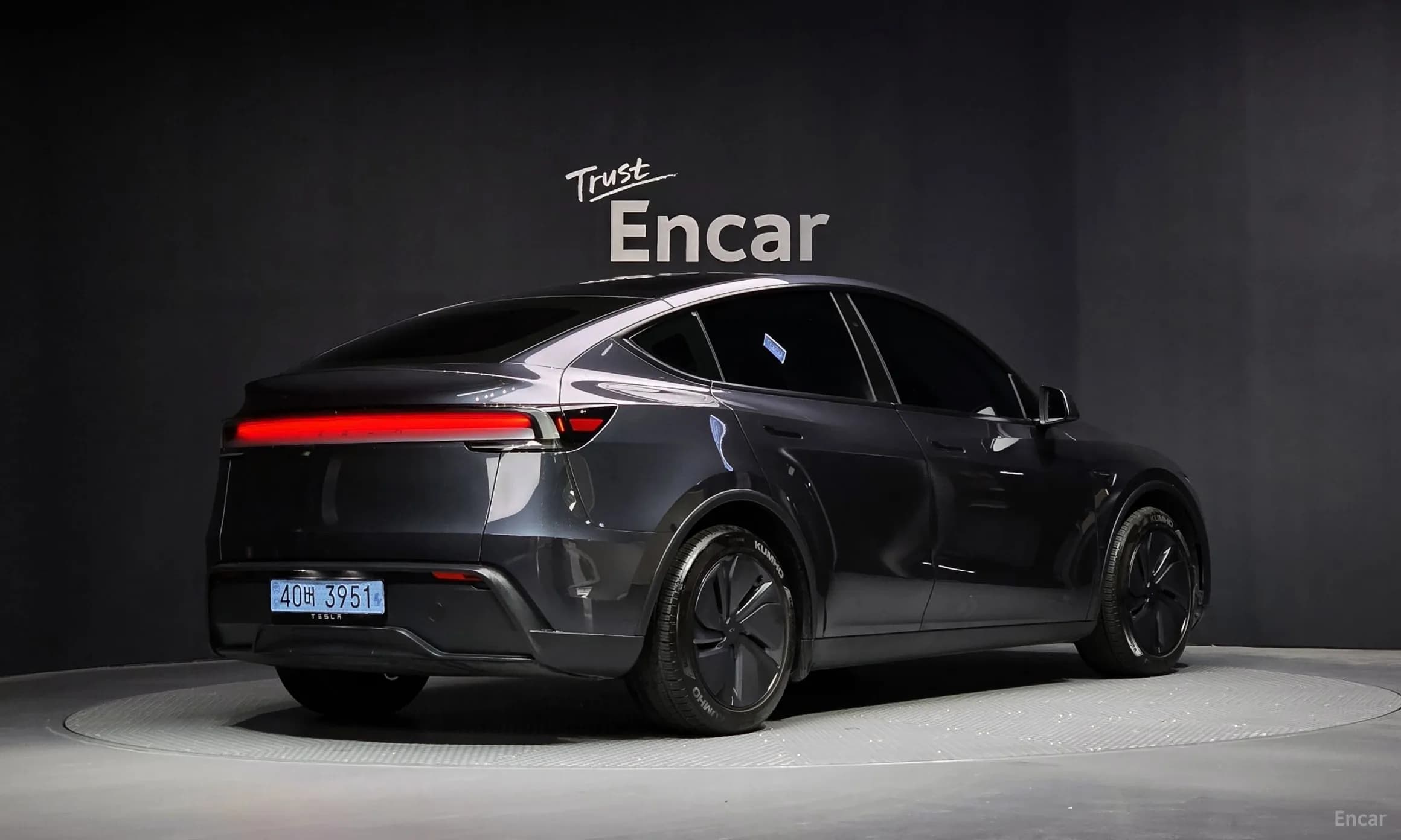 Model Y