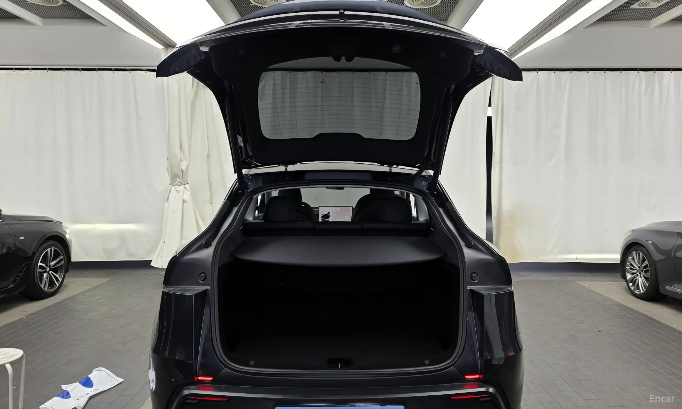 Model Y