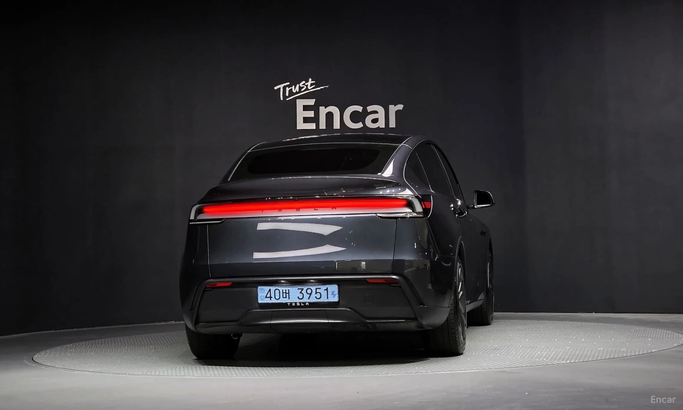Model Y