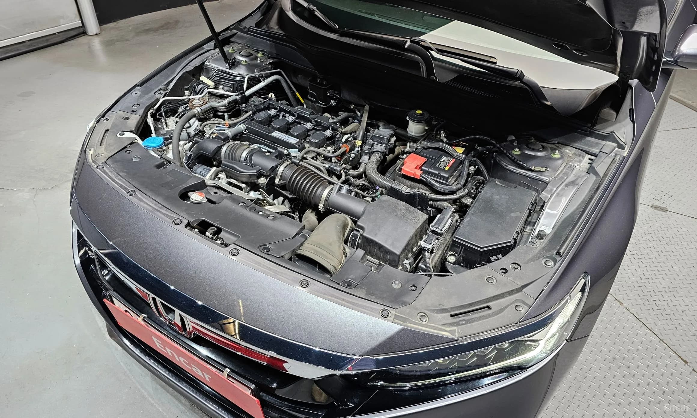 Accord 10th Generation