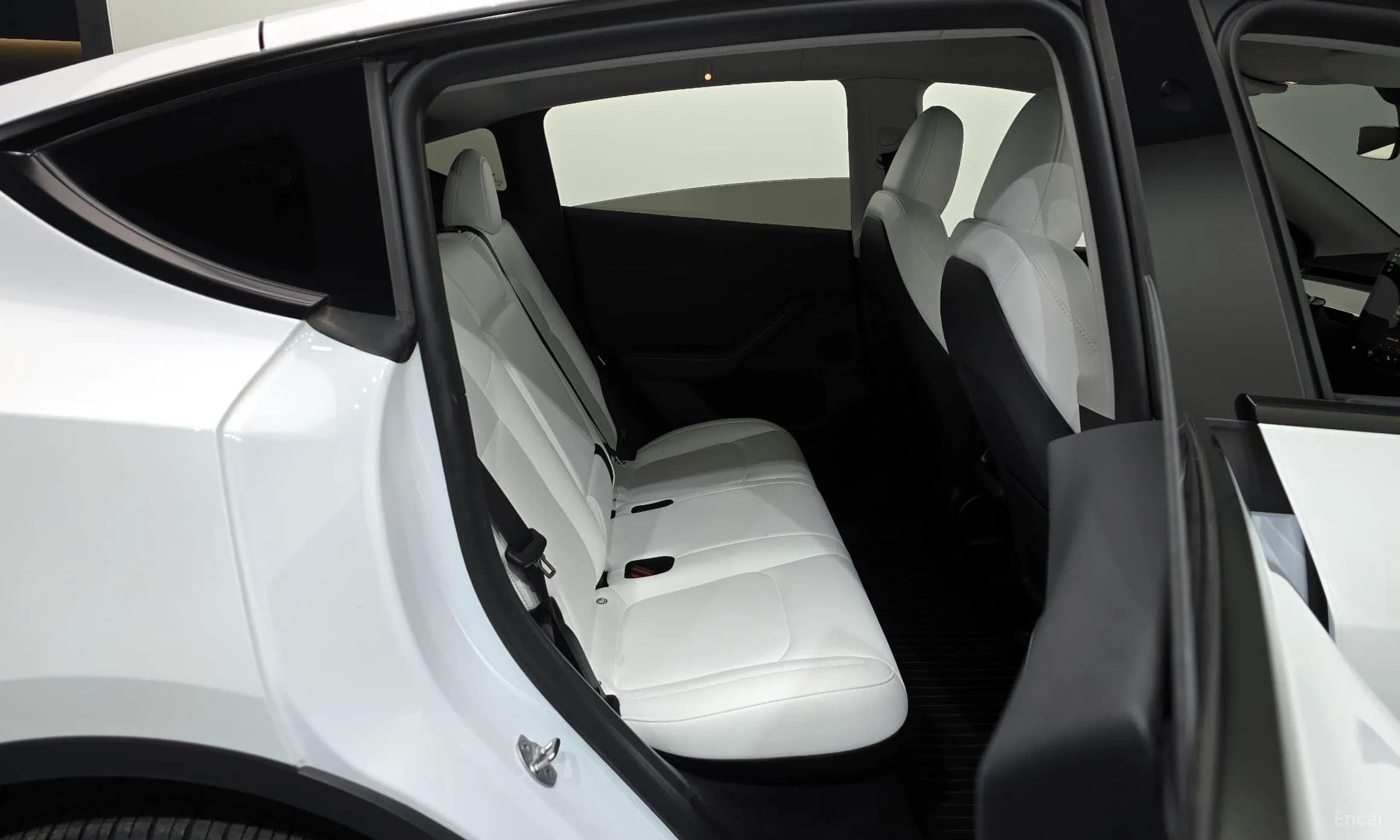 Model Y