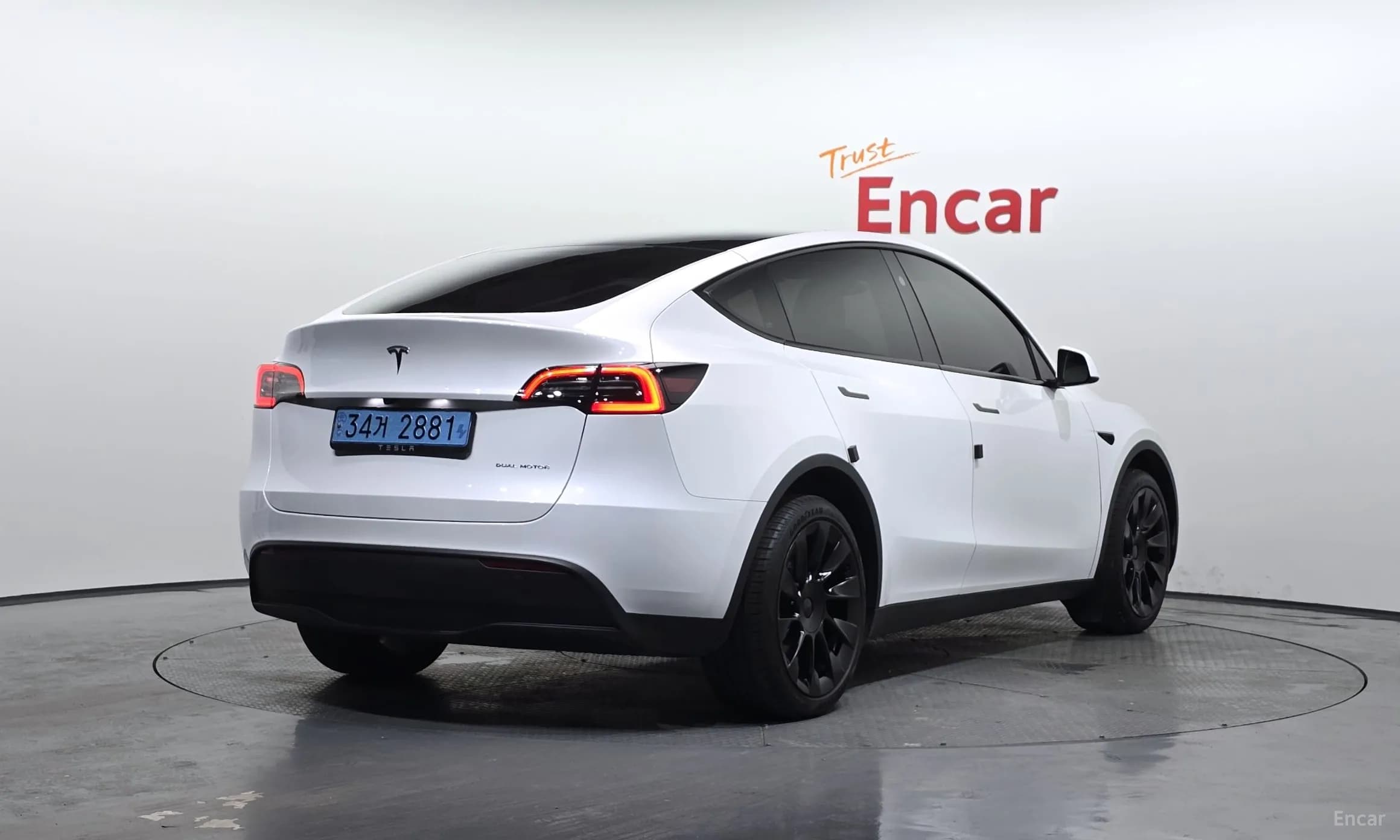 Model Y