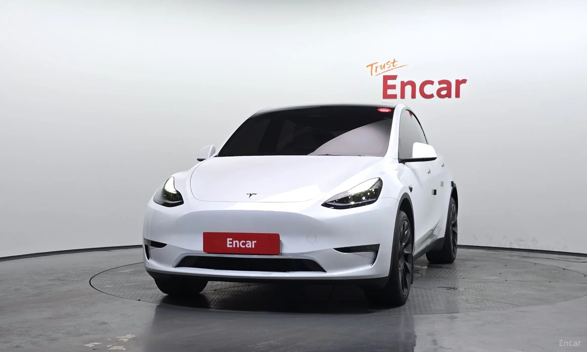 Model Y