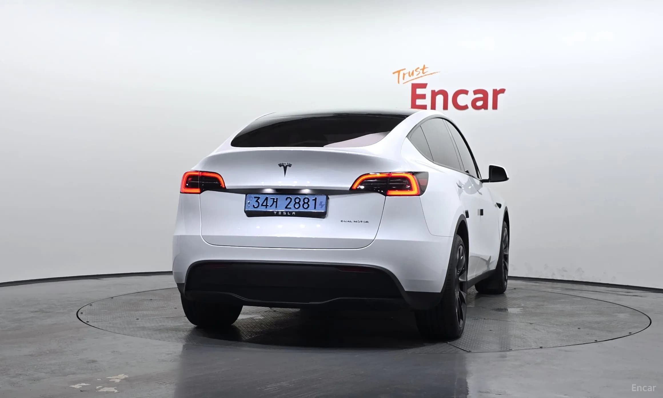 Model Y