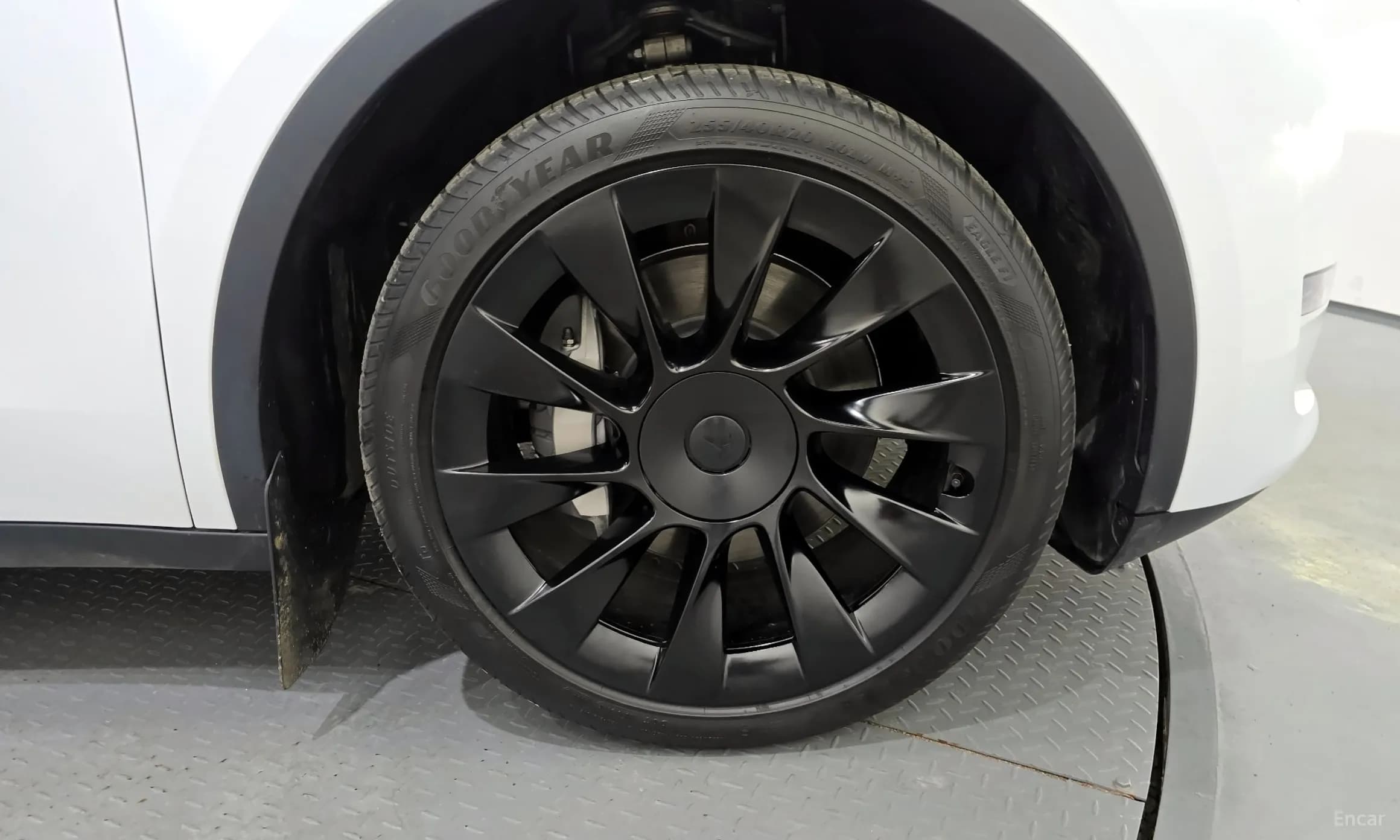 Model Y