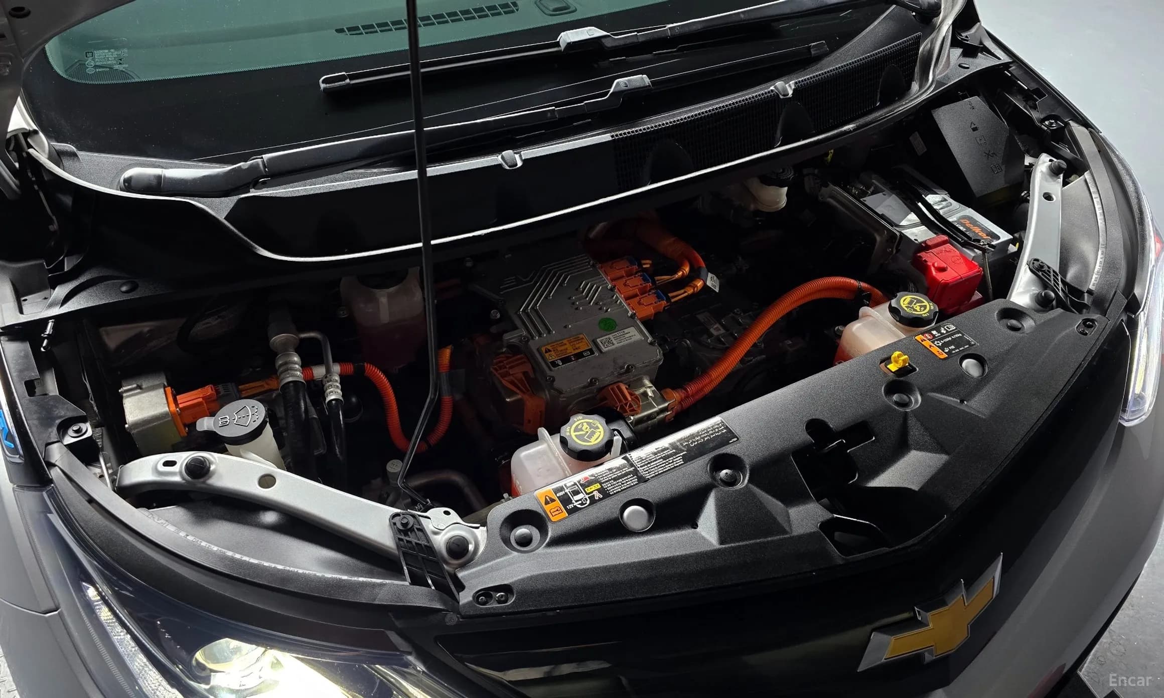 Bolt EV