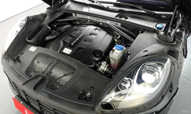 Macan