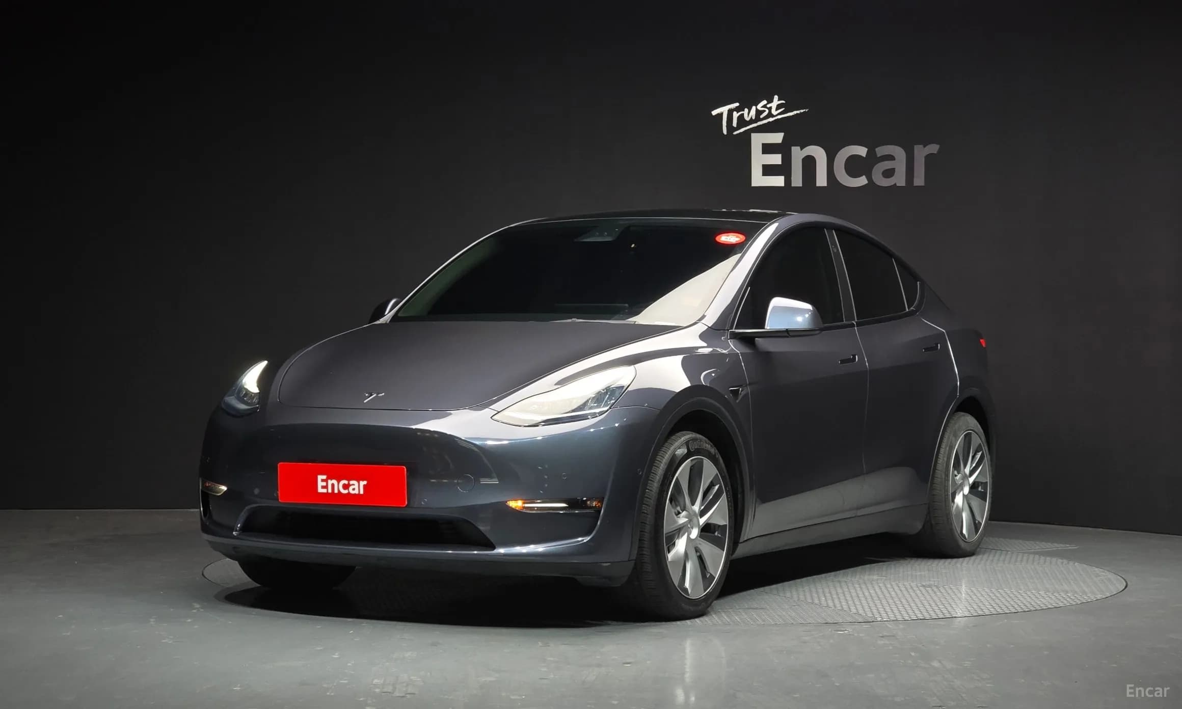Model Y