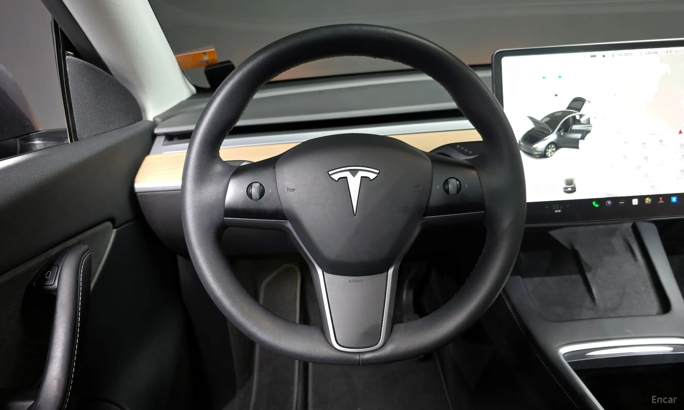 Model Y