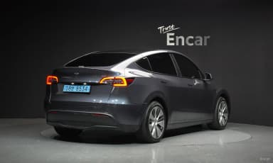 Model Y