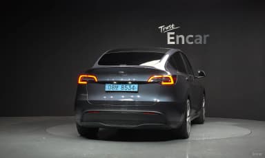 Model Y