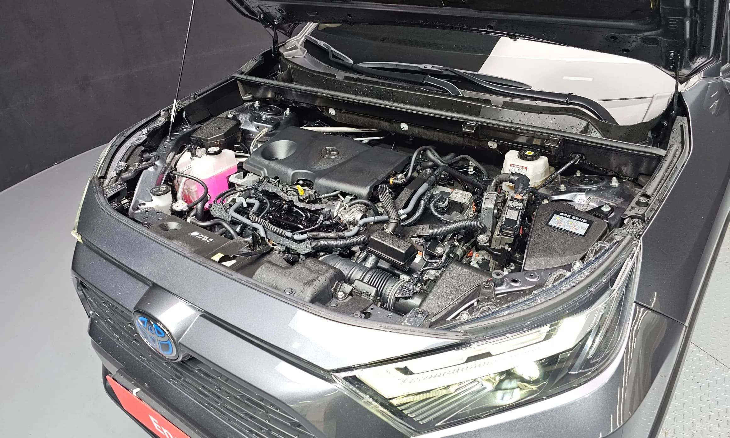 RAV4 5th Generation
