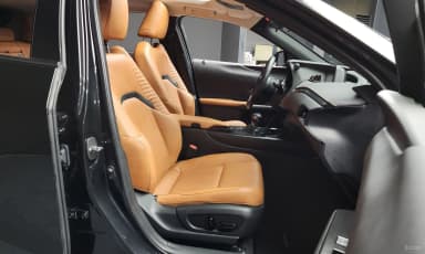 UX250h