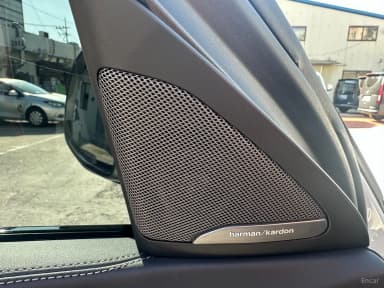 X6 (G06)