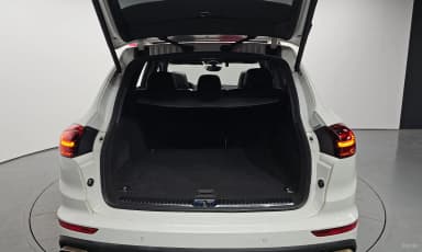 New Cayenne