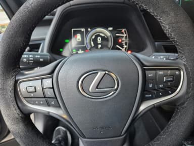 UX250h