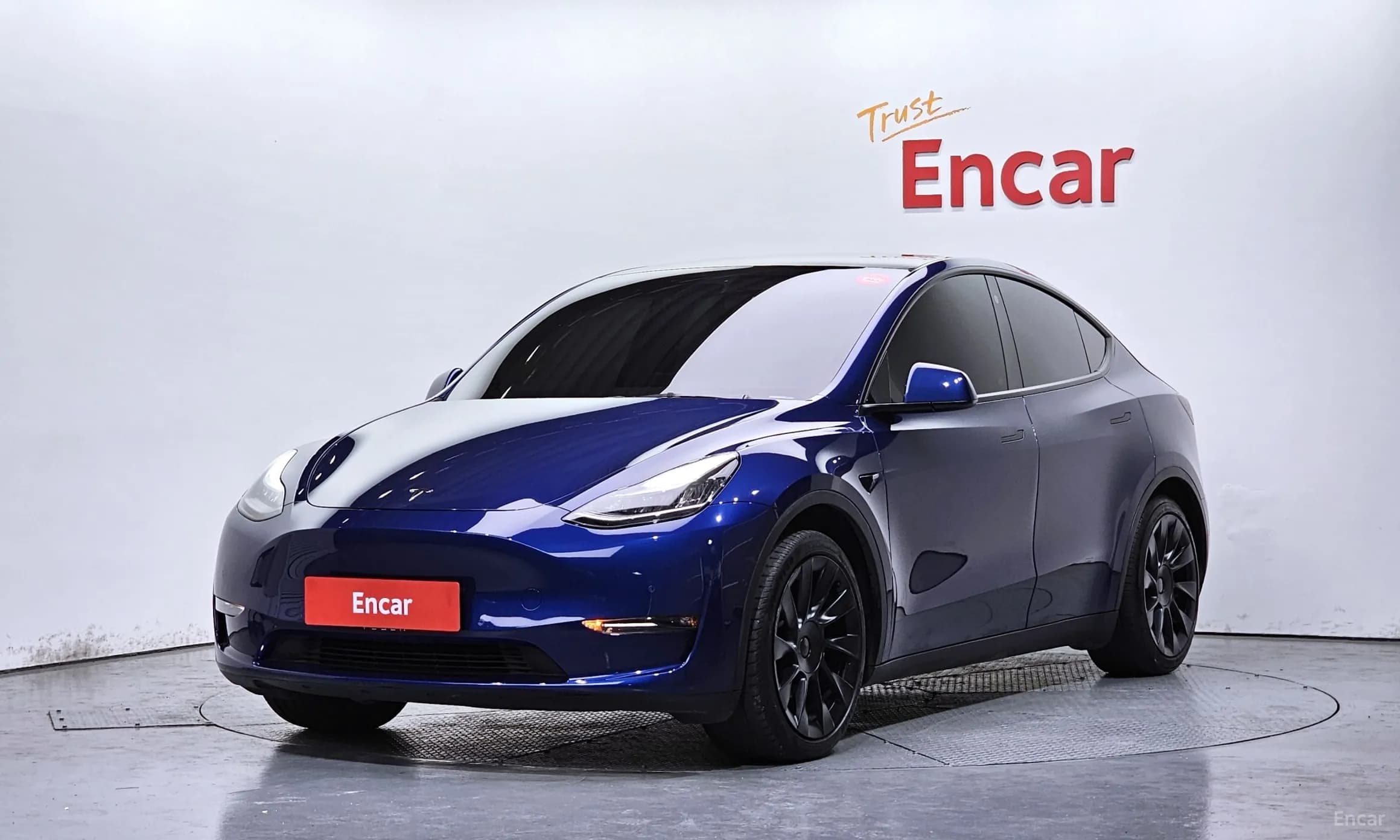 Model Y