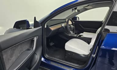 Model Y