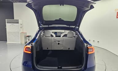 Model Y