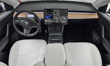 Model Y