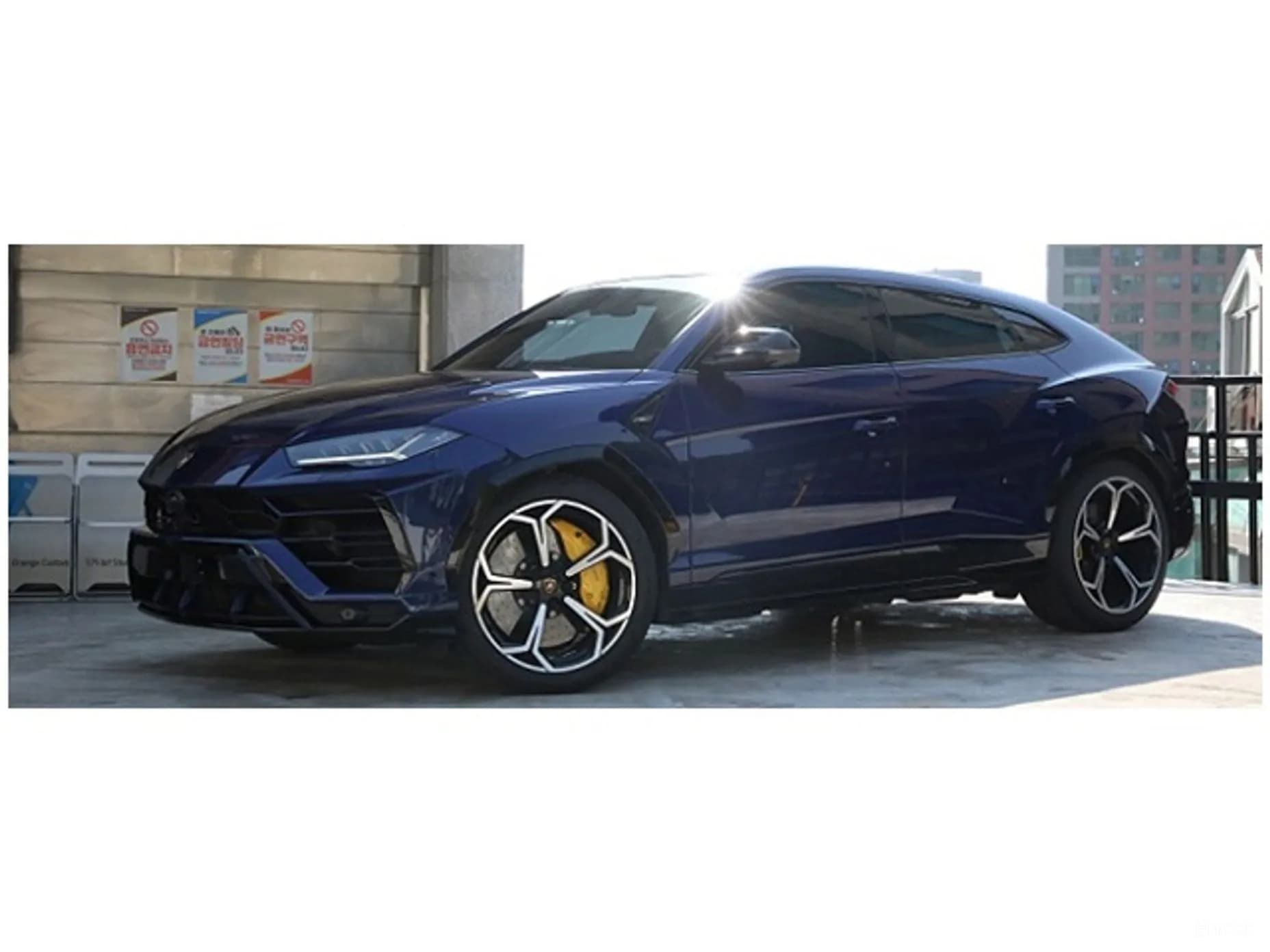 Urus