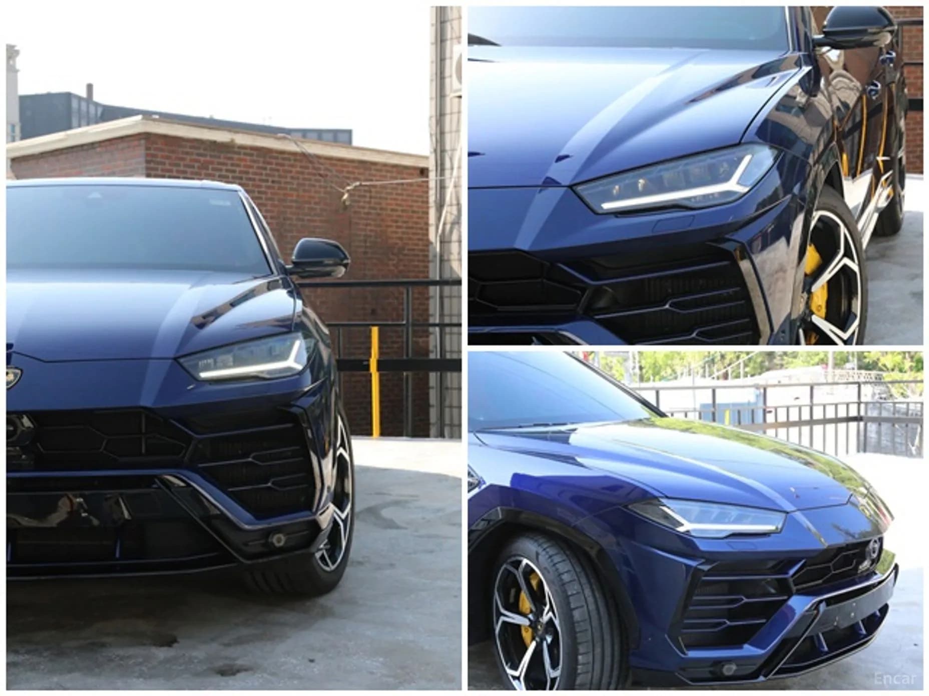Urus