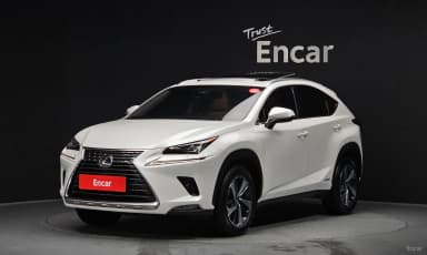 NX300h
