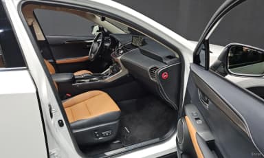 NX300h