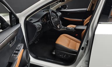 NX300h