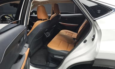 NX300h