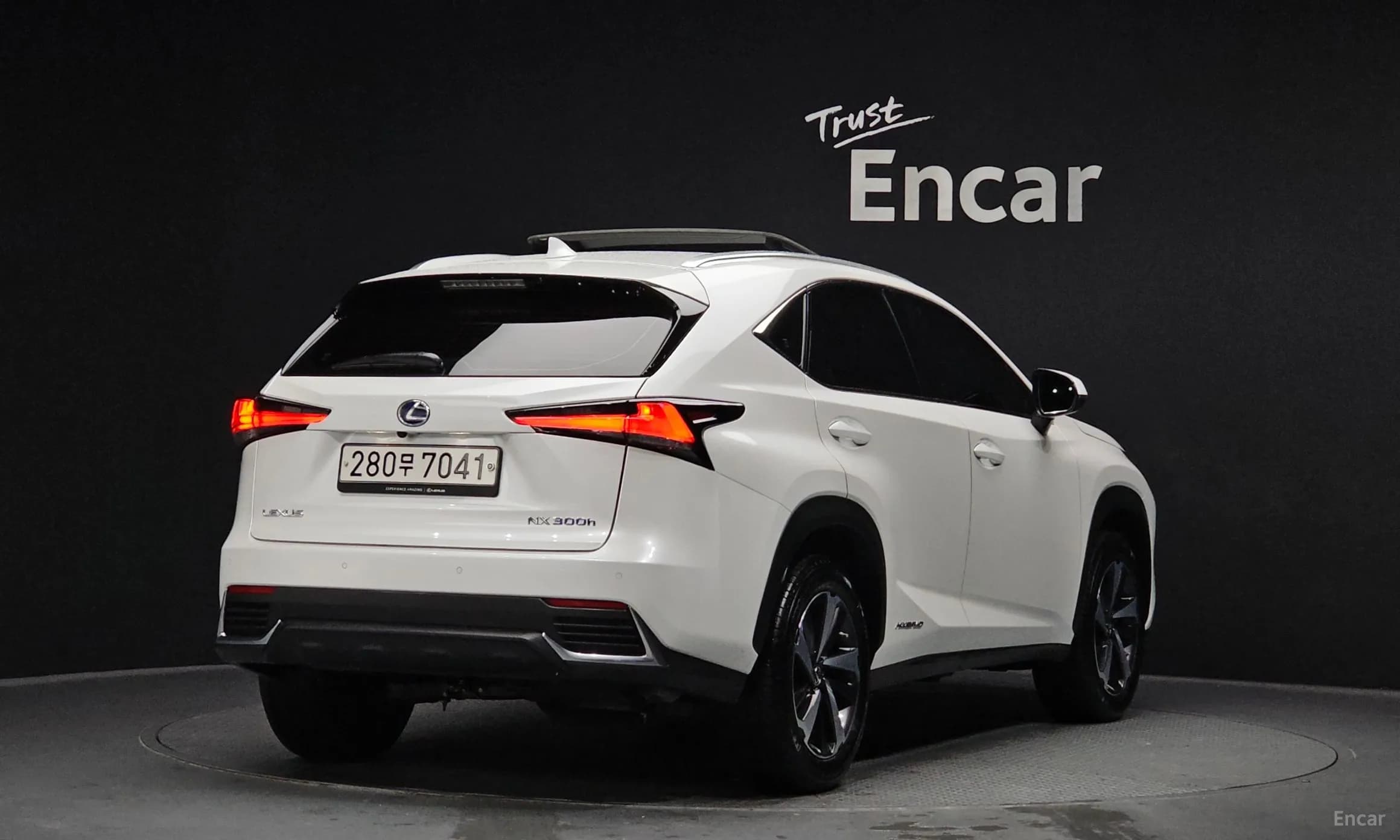 NX300h