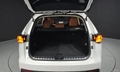NX300h