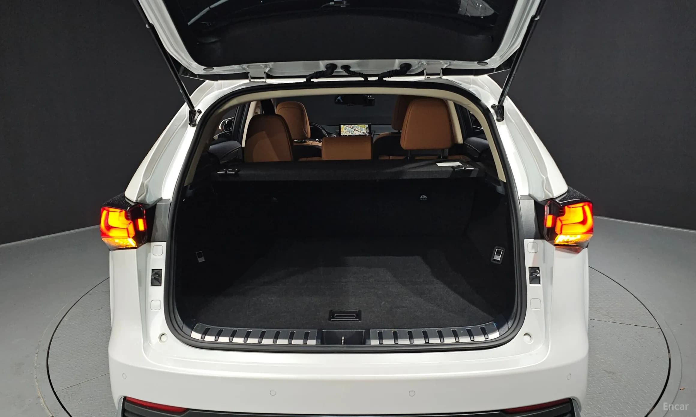 NX300h