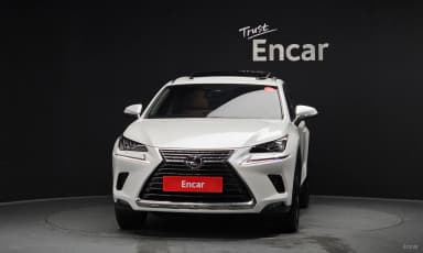 NX300h