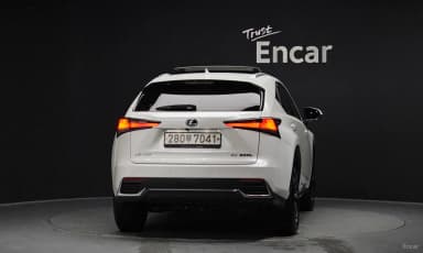 NX300h