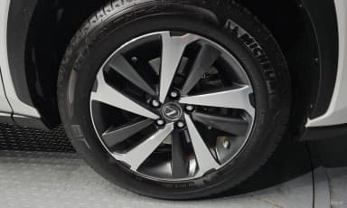 NX300h