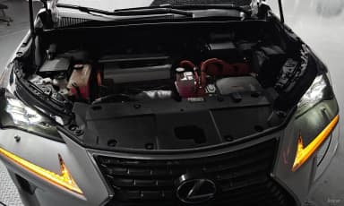 NX300h