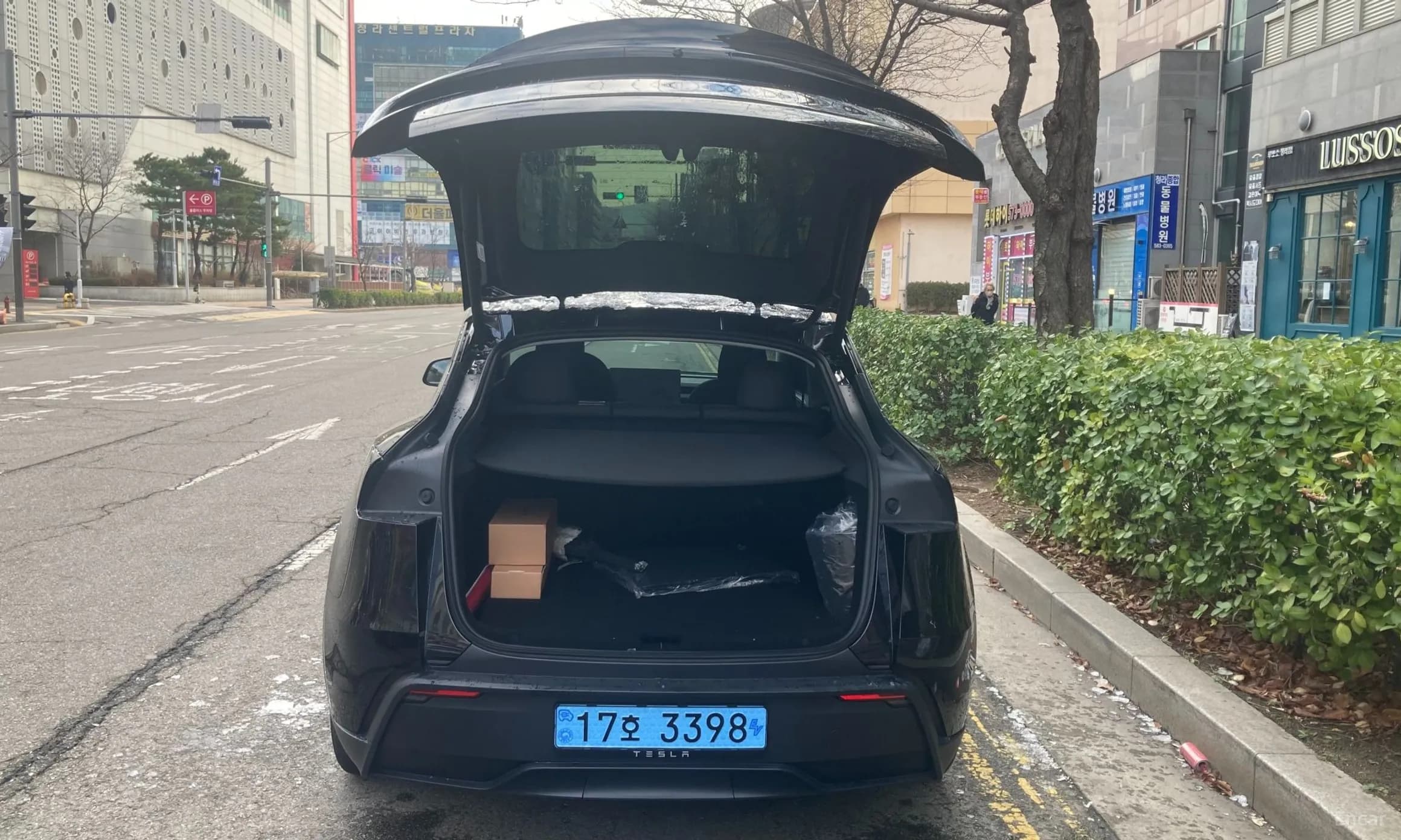 Model Y