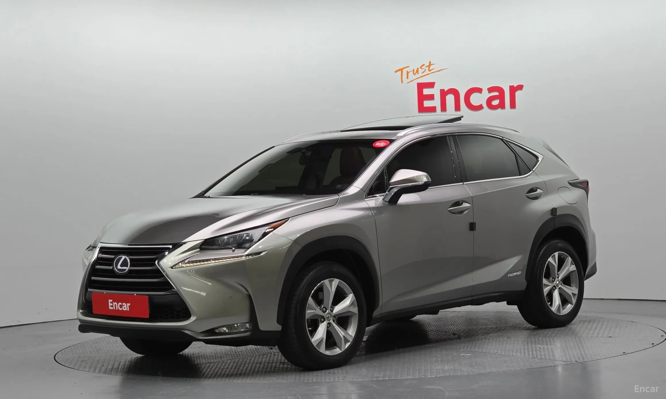 NX300h