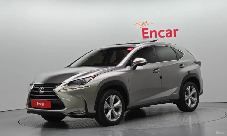 NX300h
