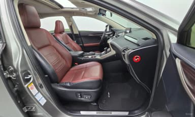 NX300h