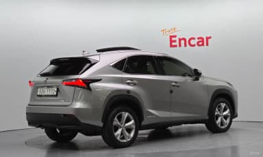 NX300h