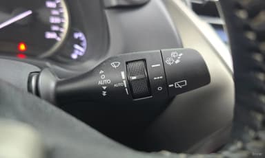 NX300h