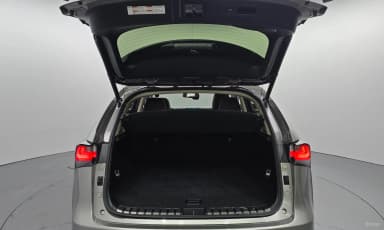 NX300h