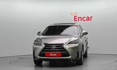 NX300h