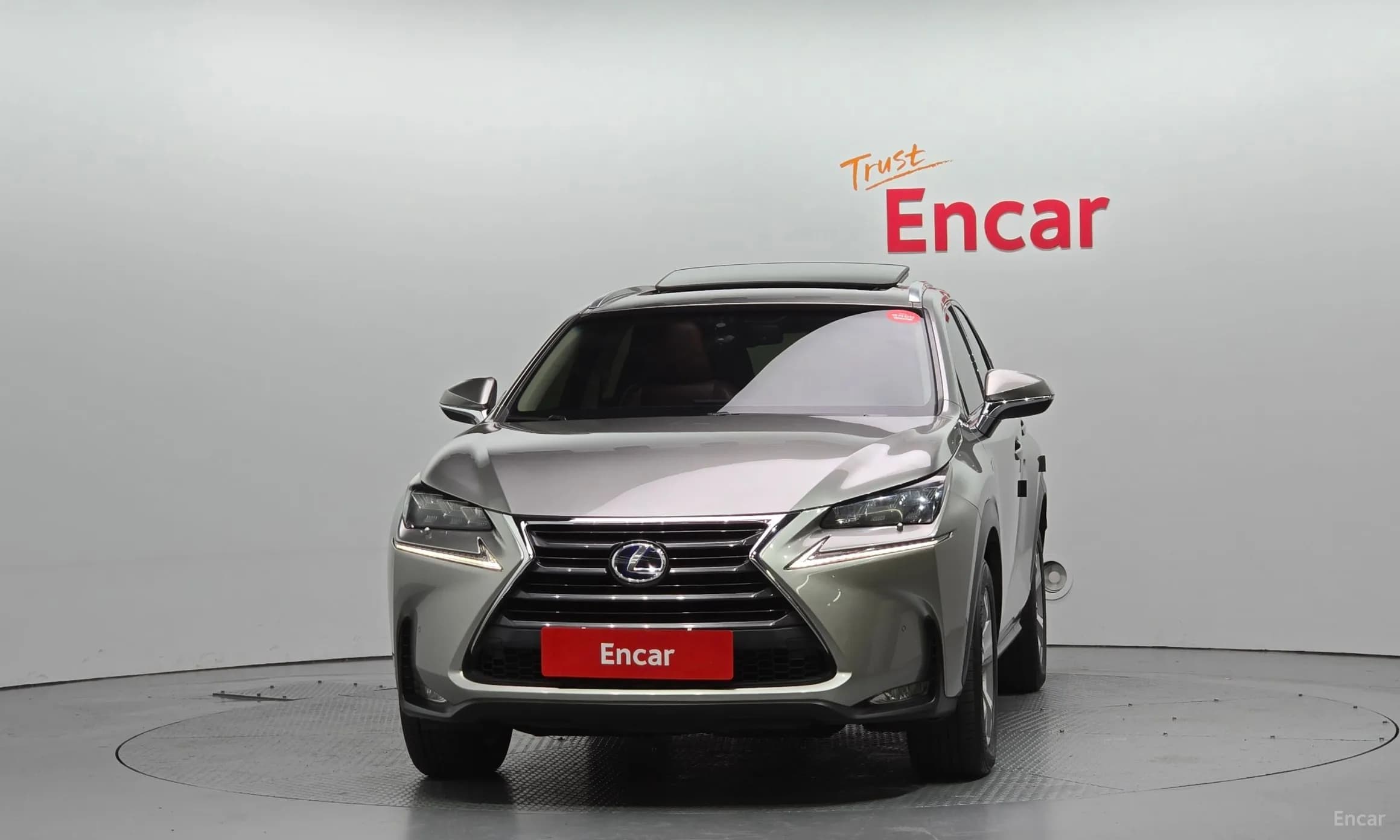 NX300h