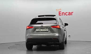 NX300h