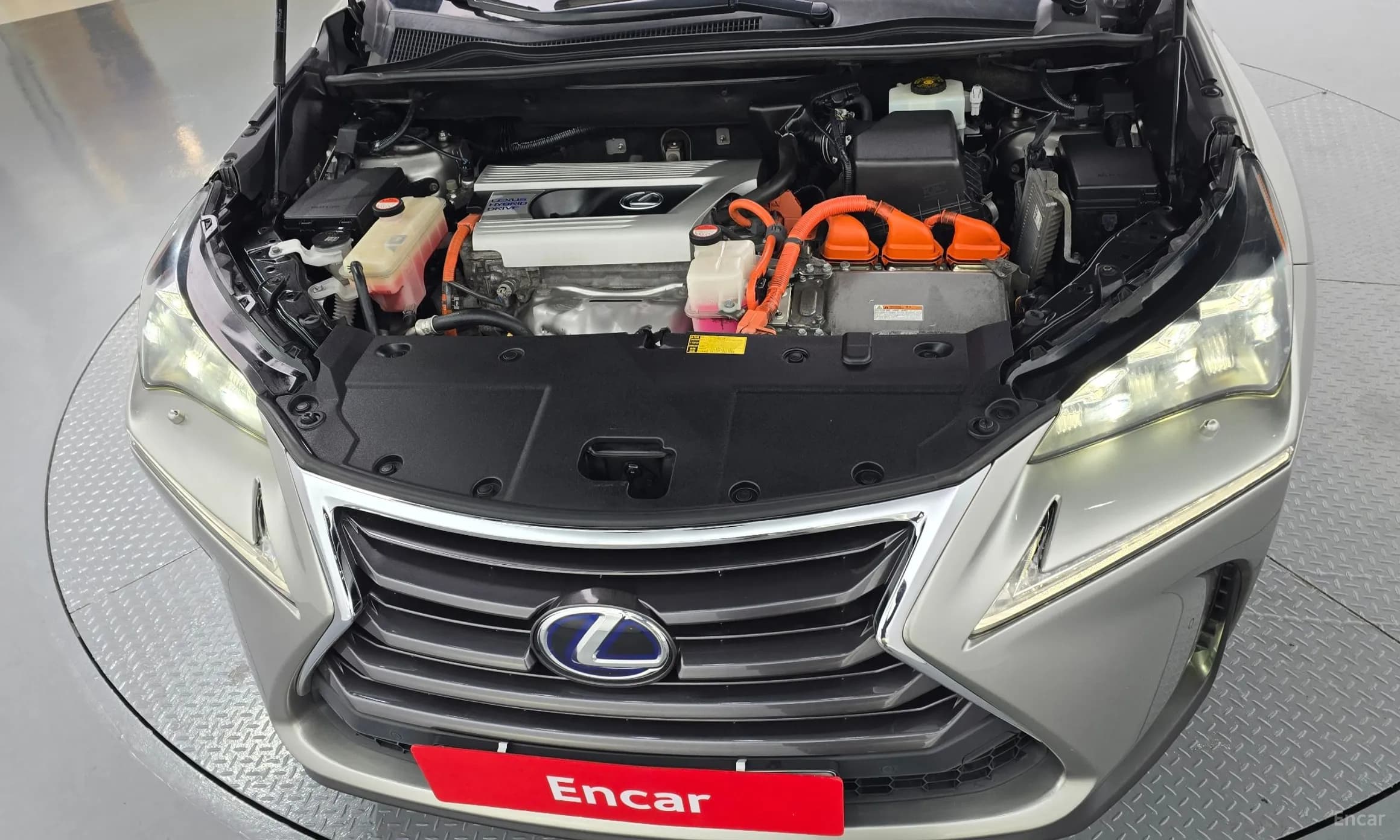 NX300h