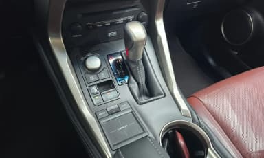 NX300h